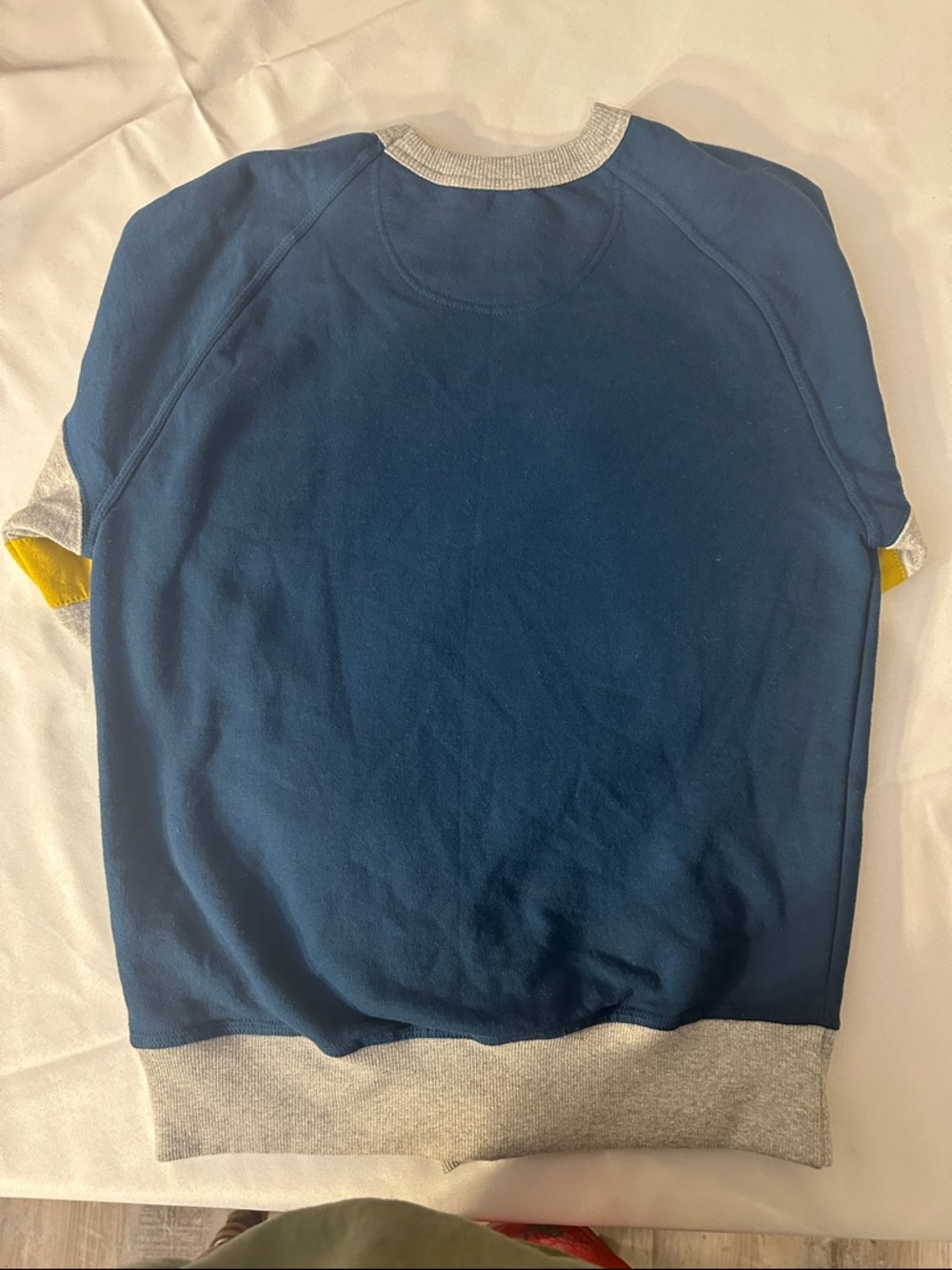 Champion Navy Sweatshirt with Yellow and Gray Stripes - Picture 3 of 3